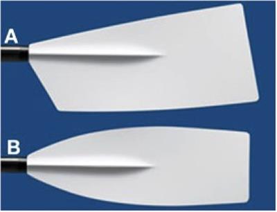 Frontiers | Improving Rowing Performance By Adjusting Oar Blade Size ...